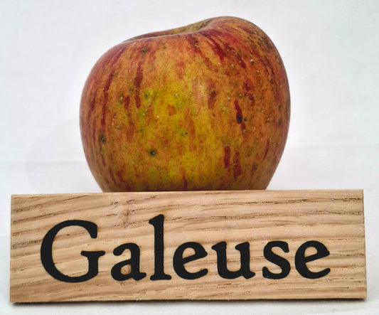 Pommier - Galeuse