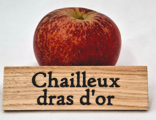 Pommier - Chailleux drap d'or