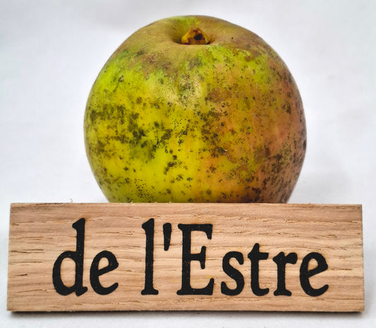 Pommier - de l'Estre